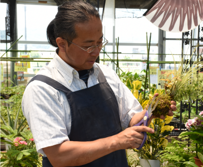 植物のある暮らし、植物を育てる喜びを私たちと一緒に見つけましょう